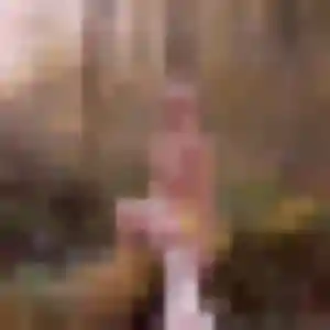 Anne, 35 ans, cherche un rencontre cougar à Nogent-sur-Seine