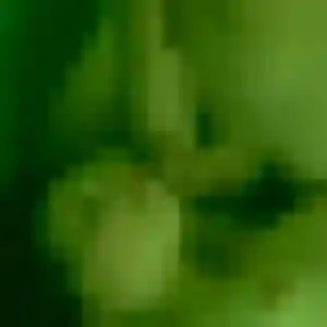 Charlotte, femme de 27 ans cherche rencontre cougar à Noiseau