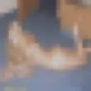 Photo de Vinciane à Noisiel (23 ans) - rencontre cougar gratuit