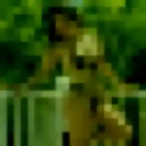Profil de Giulia à Penmarch (27 ans) - rencontre cougar anonyme