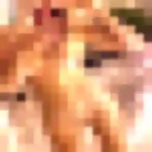 Maya, fille de 29 ans veut rencontre cougar à Pleuven