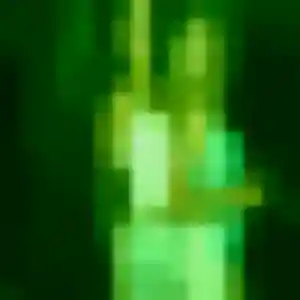 Elise, femme de 28 ans cherche rencontre cougar à Ploërmel