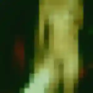 Sexy Zoe, 24 ans à Pompignac - la contacter