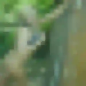 rencontre cougar à Pont-de-Buis-lès-Quimerch : profil de Leila, 19 ans - accès libre
