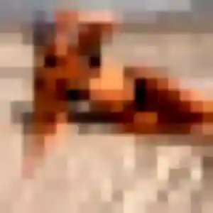 Sexy Nina, 31 ans à Reichshoffen - la contacter