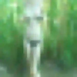 Photo de Zoe à Roye (36 ans) - rencontre cougar anonyme