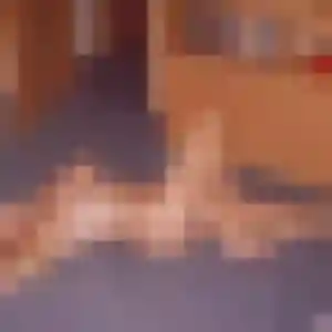 Diane, 22 ans, veut un rencontre cougar à Saint-Aignan-Grandlieu