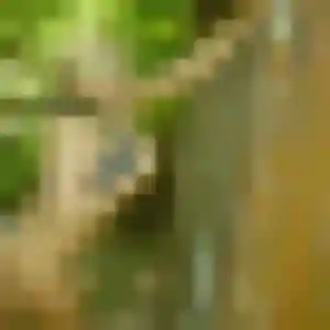 rencontre cougar à Saint-Aubin-du-Cormier : photo de Cassandre, 34 ans - inscription gratuite