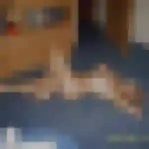 Orane de Saint-Caprais-de-Bordeaux, 35 ans - rencontre cougar discret