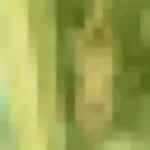 Brune de Saint-Cyr-sur-Loire, 24 ans - rencontre cougar sans lendemain