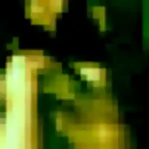 Sexy Justine, 31 ans à Saint-Martin-la-Pallu - voir sa photo