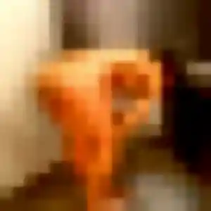 Celia, 34 ans, en ligne à Saint-Michel-sur-Orge pour une rencontre coquine