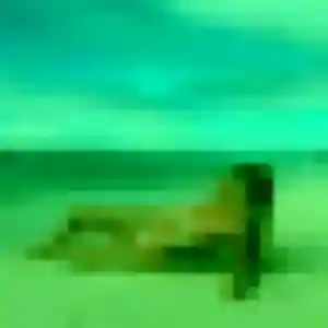 Anne-Charlotte, 34 ans, en ligne à Sainte-Soulle pour une rencontre coquine