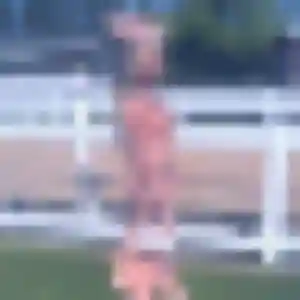 Rejoins Thais, 42 ans à Schiltigheim en privé