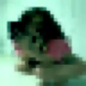 Anne-Charlotte, 21 ans, dispo pour rencontre cougar à Séné