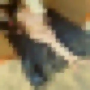 Penelope (22 ans) à Sevran attend un rencontre cougar maintenant