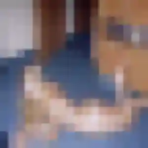 Rejoins Marilou, 22 ans à Soubise gratuitement