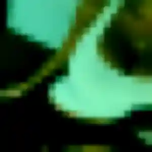 Profil de Adelaide à Staffelfelden (20 ans) - rencontre cougar discret