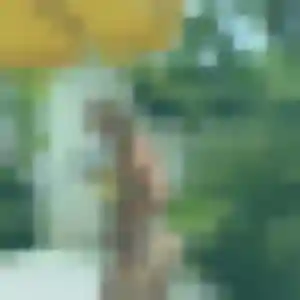 Photo privée de Blanche, 31 ans à Tartas - rencontre coquine