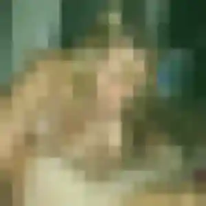Jennifer (35 ans) à Templeuve-en-Pévèle attend un rencontre cougar maintenant