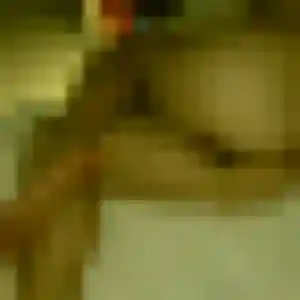 Jihane, fille de 45 ans veut rencontre cougar à Terville