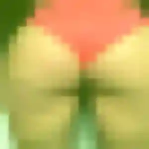 Photo de Anastasia à Tulle (41 ans) - rencontre cougar anonyme