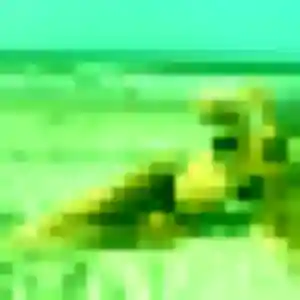 Gaia, fille de 38 ans propose rencontre cougar à Vélizy-Villacoublay