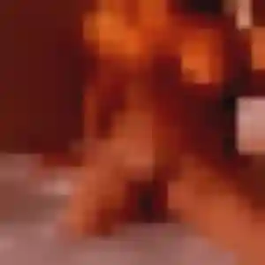 Profil de Adele à Verson (19 ans) - rencontre cougar anonyme