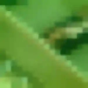 Amandine, femme de 43 ans cherche rencontre cougar à Vineuil