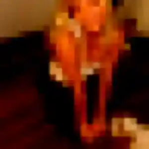 Contacte Nathalie, 27 ans à Vitré en privé