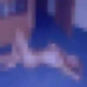 Profil de Catherine à Wervicq-Sud (41 ans) - rencontre cougar anonyme
