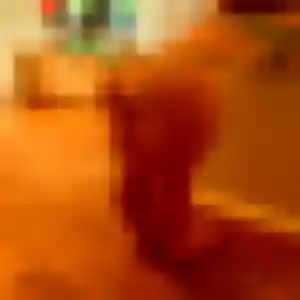 Photo sexy de Suzanne, 25 ans à Wormhout - rencontre sans lendemain